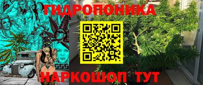 каннабис Новодвинск