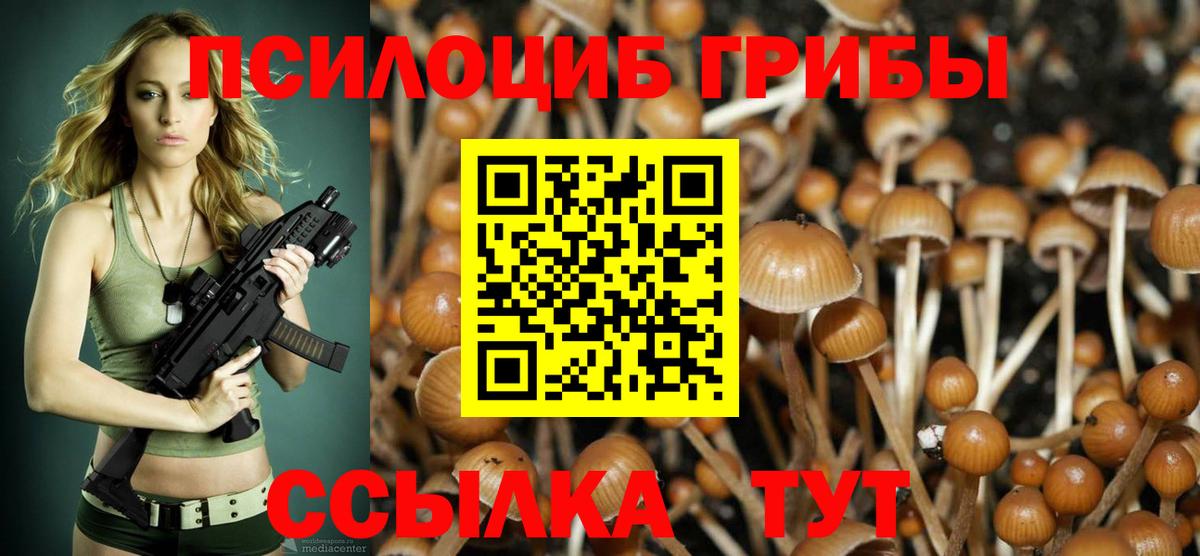 Галлюциногенные грибы GOLDEN TEACHER  Вход с VPN  Сибай 