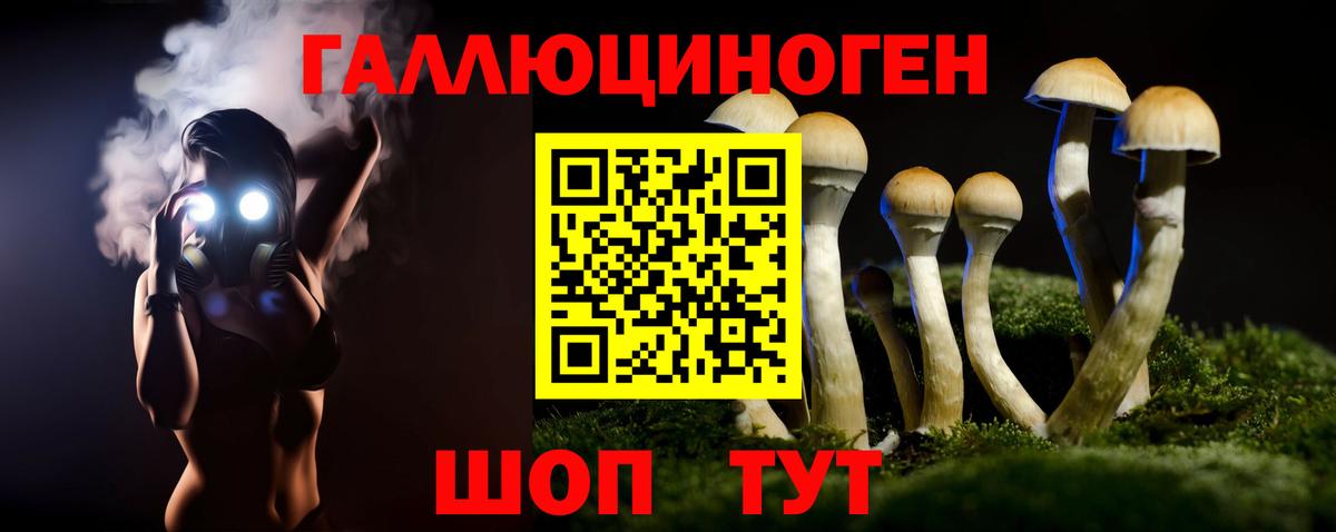 Галлюциногенные грибы Cubensis Сибай